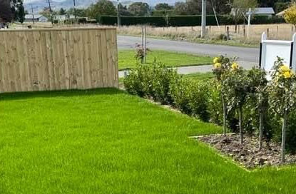 New Green Lawn